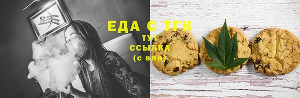 ECSTASY Богданович